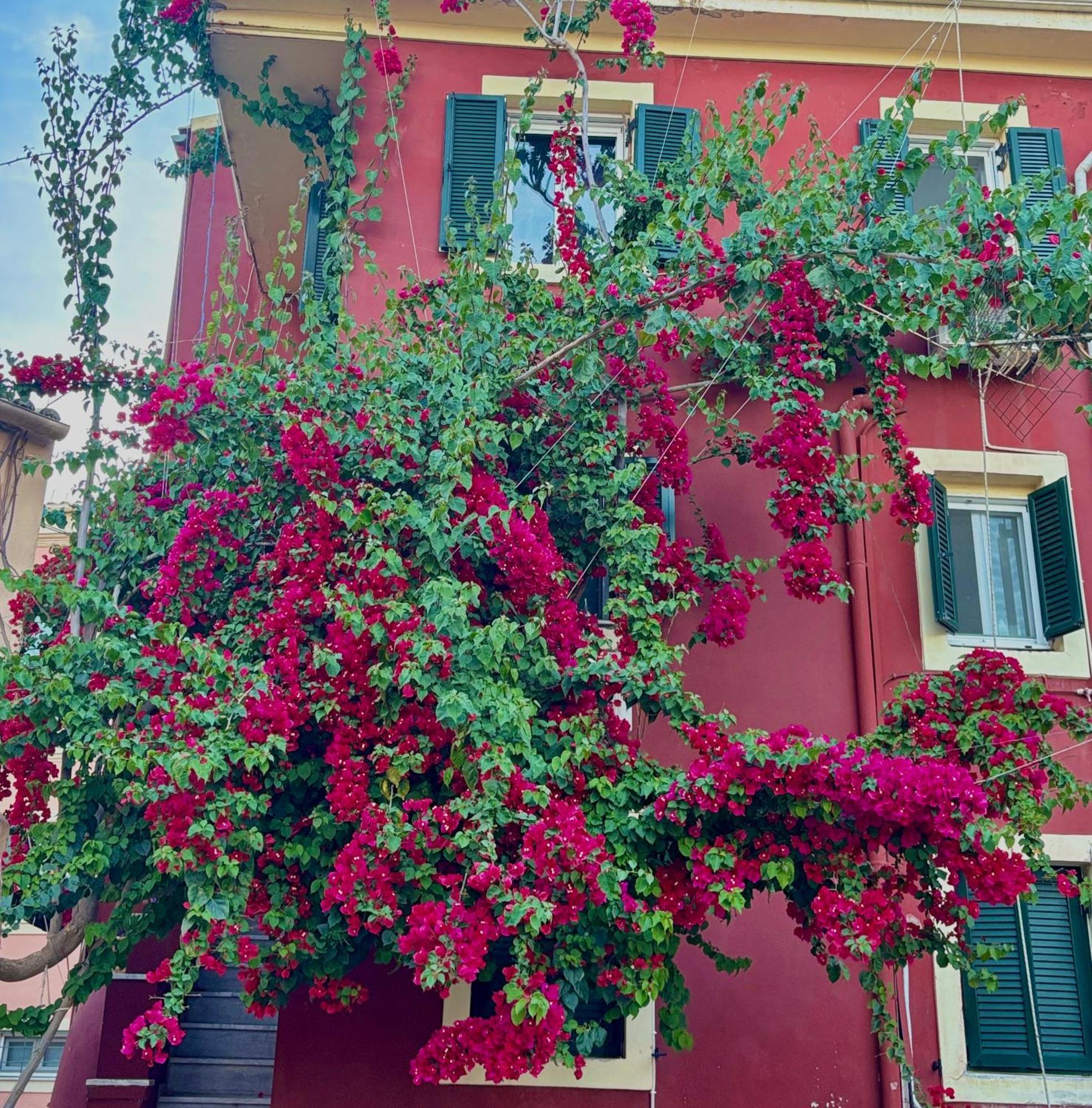 Corfu Port Home 외부 사진